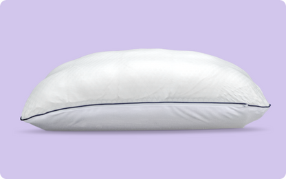 Cool Original Bundel